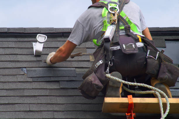 Best Roof Gutter Cleaning  in Williamston, NC