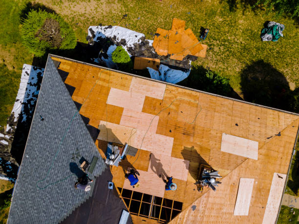 Best Roof Maintenance Services  in Williamston, NC