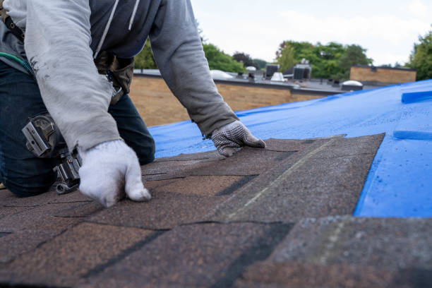 Best Shingle Roofing Installation  in Williamston, NC