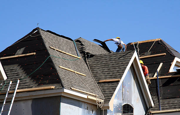 Best New Roof Installation  in Williamston, NC