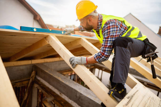 Roof Gutter Cleaning in Williamston, NC